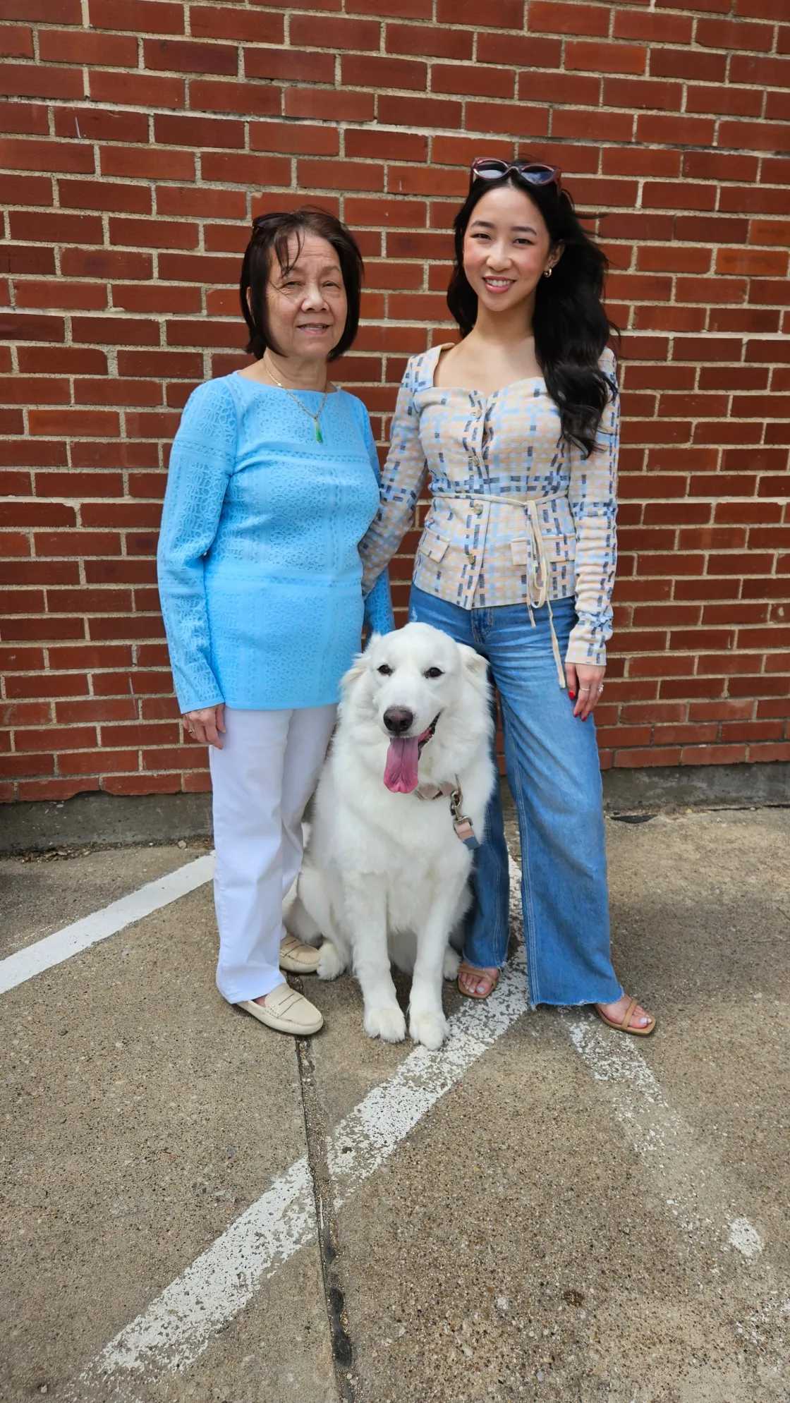 Misook Jackets & Coats|Sweetheart Neck Modern Fit Jacket - Plaid Jacquard Knit